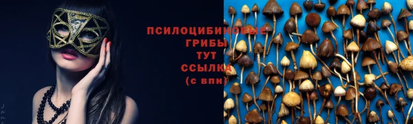 эйфоретик Кострома